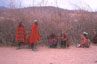 masai tanzania Serengheti