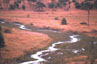 fiume Tarangire