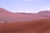 Namib desert