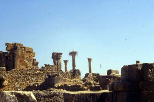 volubilis